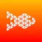 1Todo - To-Do List & Tasks