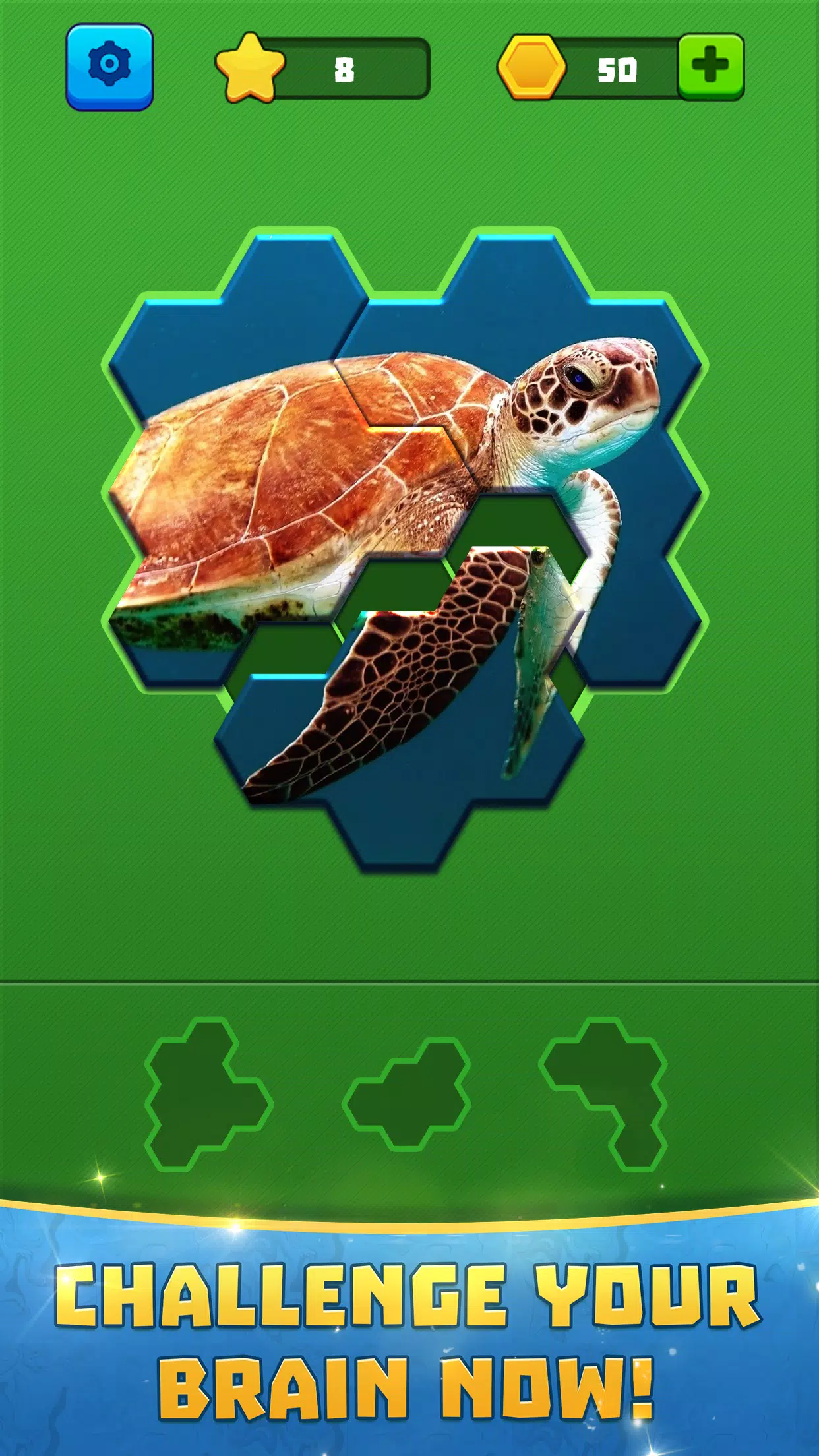 Hex Block Jigsaw Puzzle Screenshots