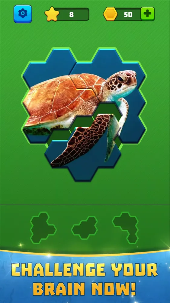 Hex Block Jigsaw Puzzle应用截图