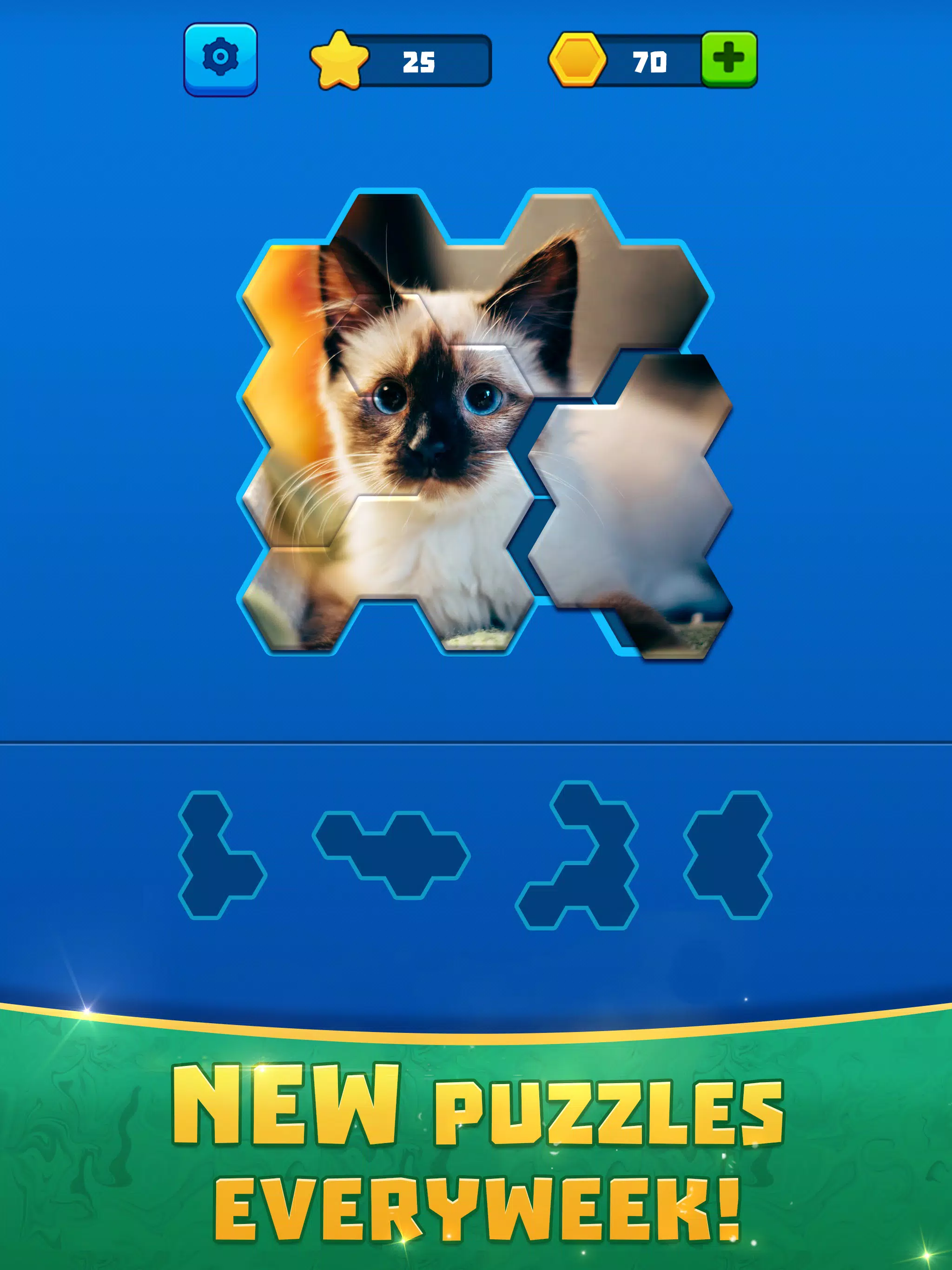 Hex Block Jigsaw Puzzle Screenshots