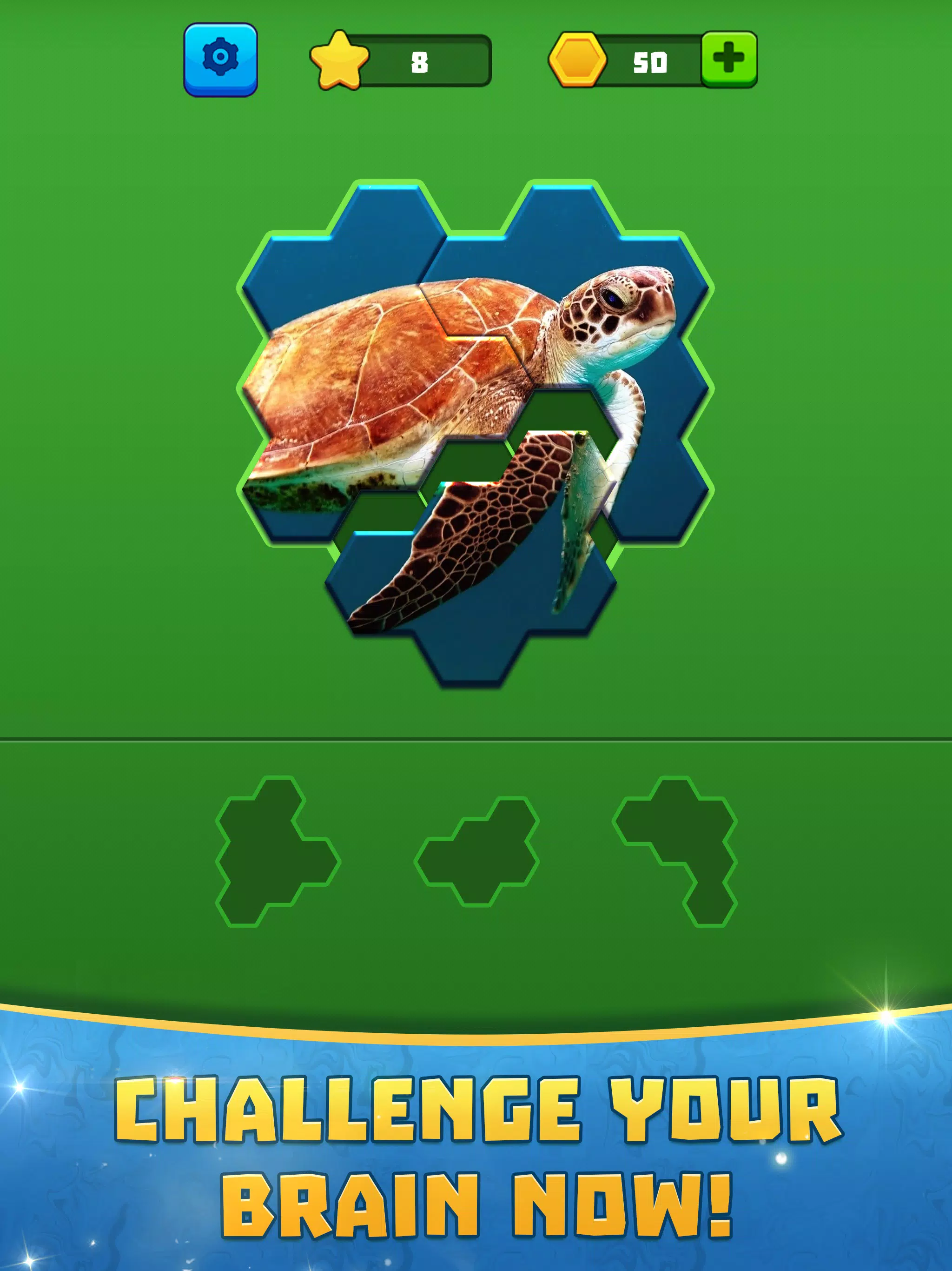 Hex Block Jigsaw Puzzle Screenshots