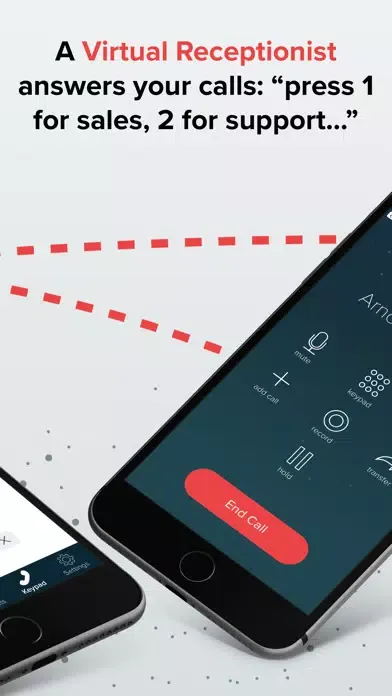 Ảnh chụp màn hình của VoxDirect