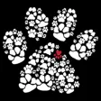 Wounded Paw Project