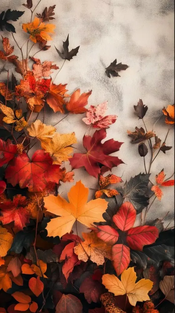 Ảnh chụp màn hình của Autumn: Wallpaper Collection