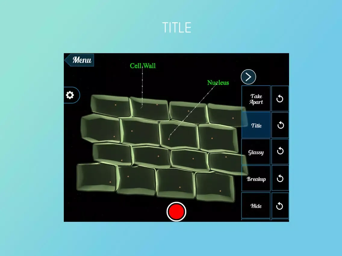 VR Cork Cells iPad  Screenshots