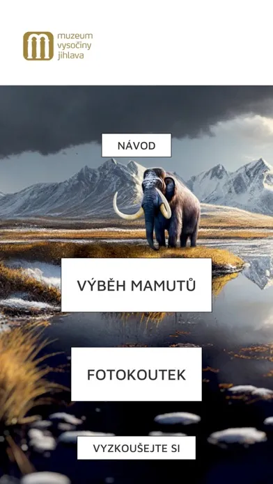 Zrzuty ekranu Mamut MVJ