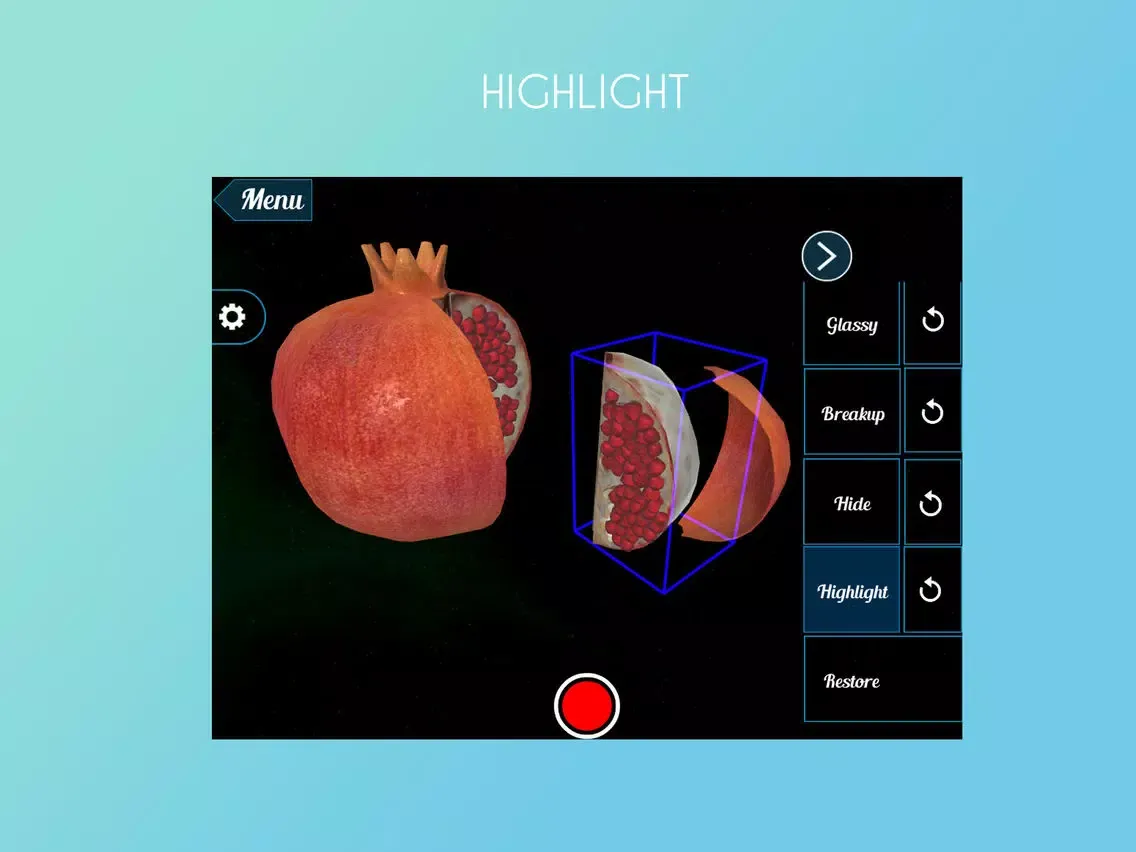 Ảnh chụp màn hình của VR Pomegranate iPad 