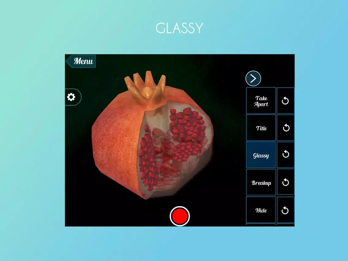 Ảnh chụp màn hình của VR Pomegranate iPad 