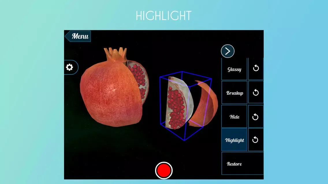 Ảnh chụp màn hình của VR Pomegranate