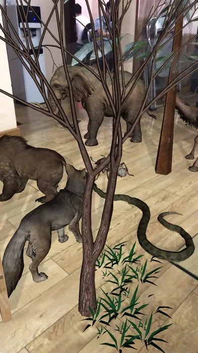 تصاویر AR Wild