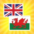 English Welsh Translator and Dictionary