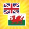 English Welsh Translator and Dictionary