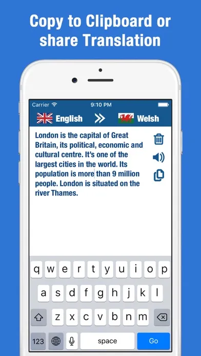 English Welsh Translator and Dictionary应用截图