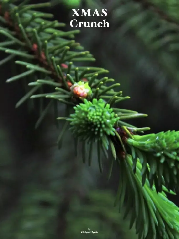 Xmas Tree Crunch iPad  سکرین شاٹس