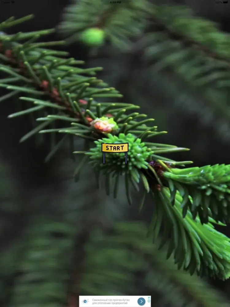 Xmas Tree Crunch iPad  سکرین شاٹس