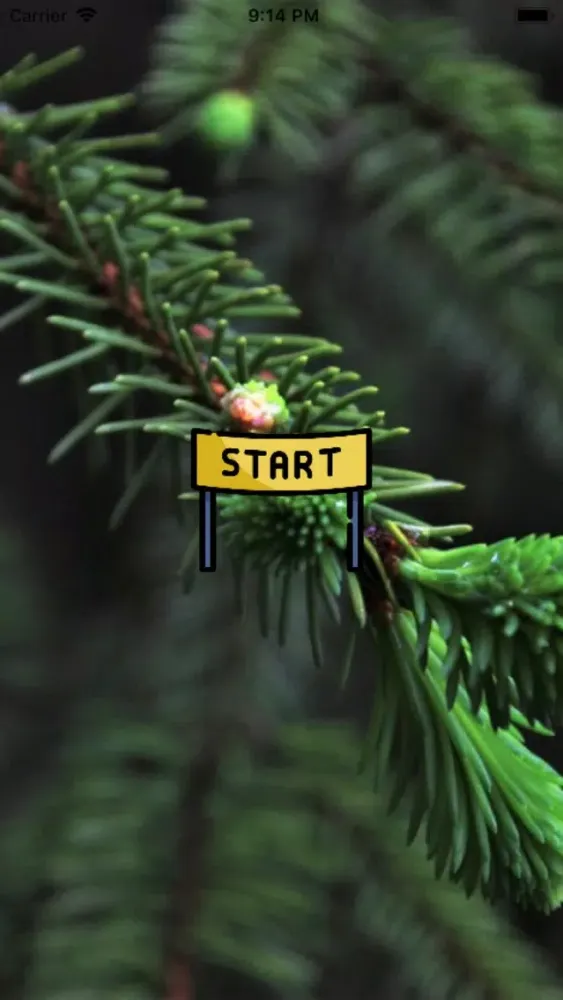 Xmas Tree Crunch سکرین شاٹس