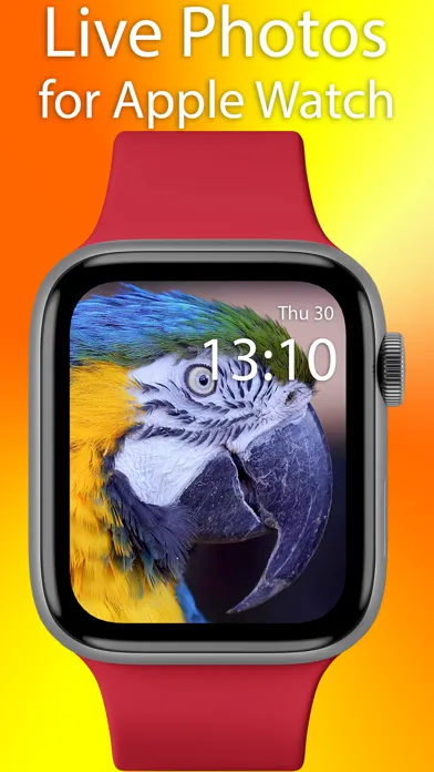 WallpapersMania Live Wallpaper Screenshots