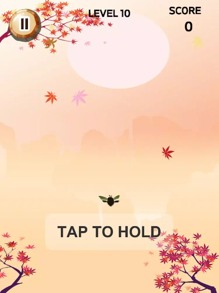 Ninja Bee Brain Puzzle Saga iPad 应用截图