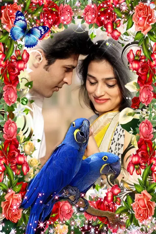 Love Bird Photo Frames Screenshots