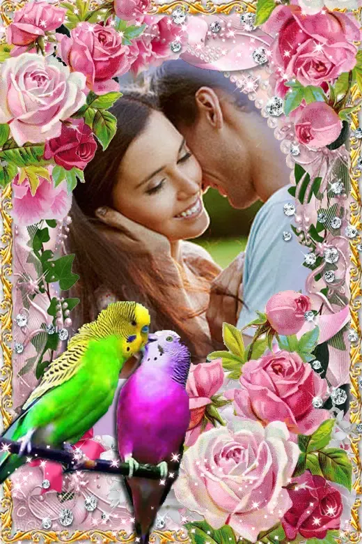 Love Bird Photo Frames Screenshots