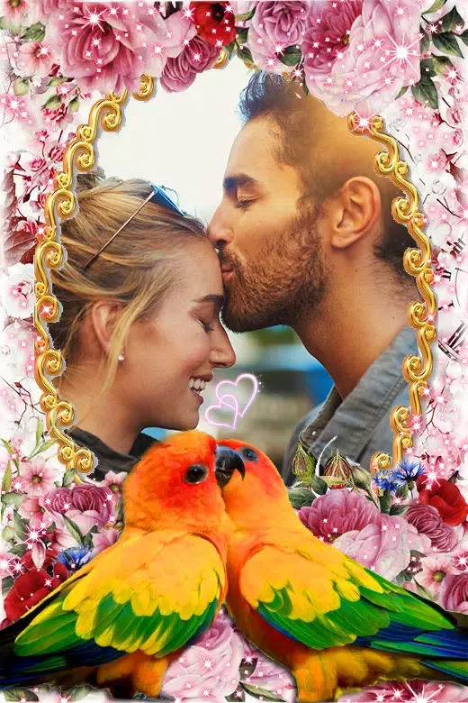 Love Bird Photo Frames Screenshots