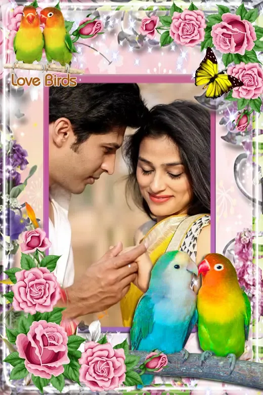 Love Bird Photo Frames Screenshots