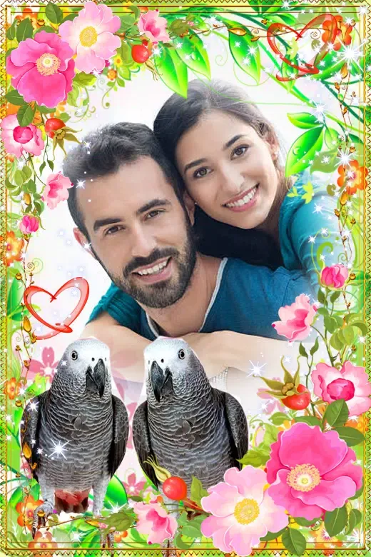 Love Bird Photo Frames Screenshots