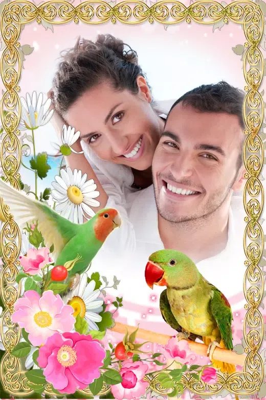 Love Bird Photo Frames Screenshots