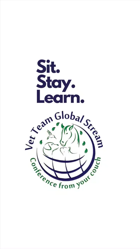 Vet Team Global Stream 2020应用截图