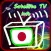 Japan Satellite Info TV