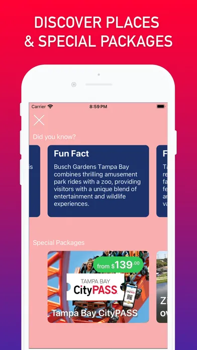 صور 360 Tampa Bay AR Map