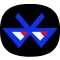 BlueBorne : Vulnerability Scanner Detector Guide