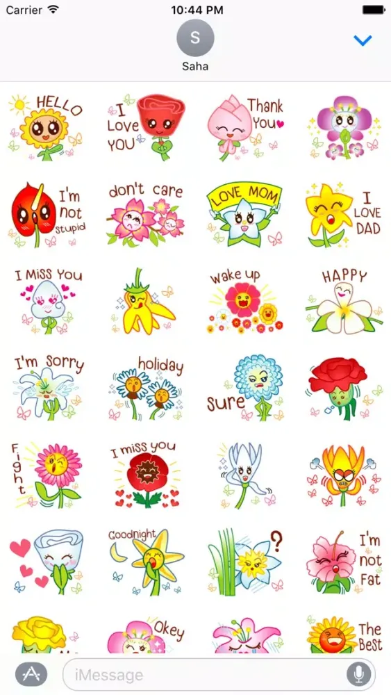 Say It With Flower Screenshots