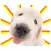 Funny Dogs Stickers