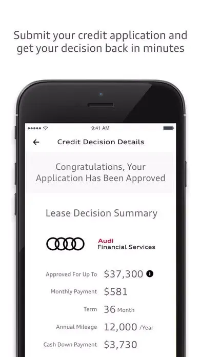 Audi Financial Screenshots
