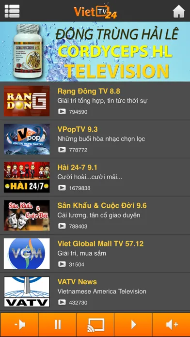 Tangkapan skrin Viet TV24