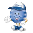 Bunge Safety PTP