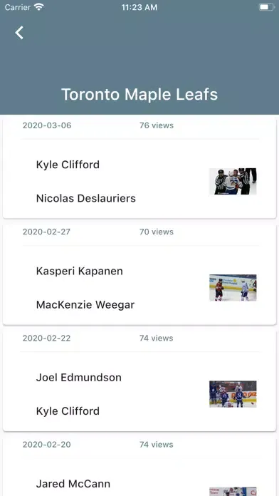 Hockey Fights Screenshots