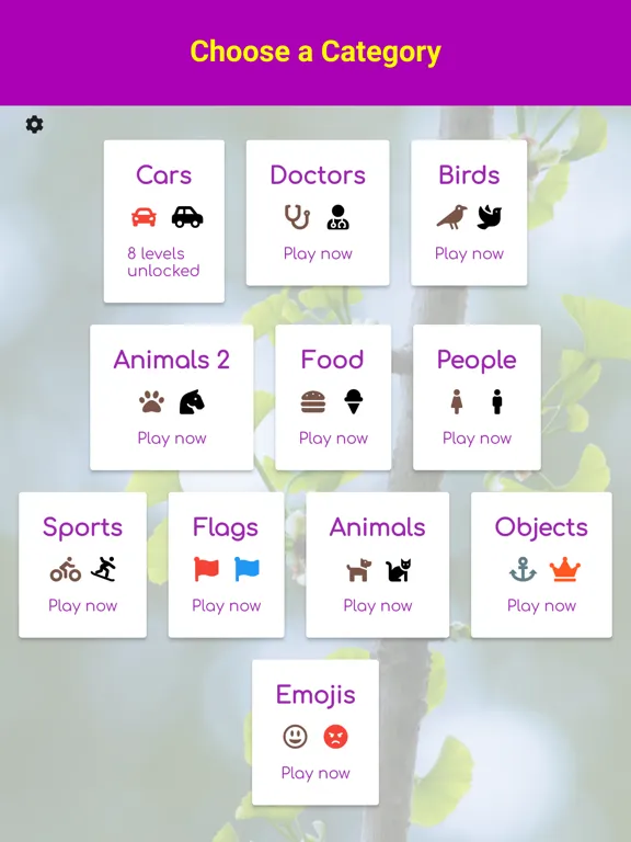 Match N Go iPad Screenshots