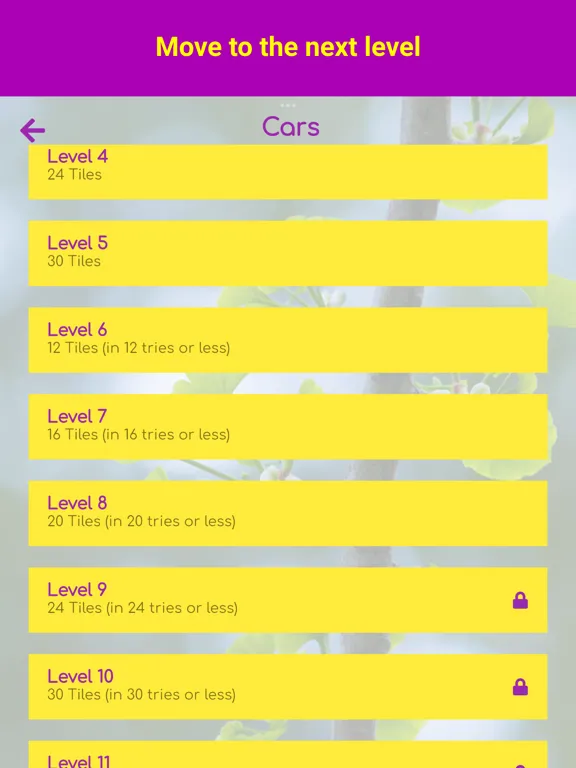 Match N Go iPad Screenshots
