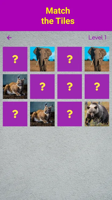 Match N Go Screenshots