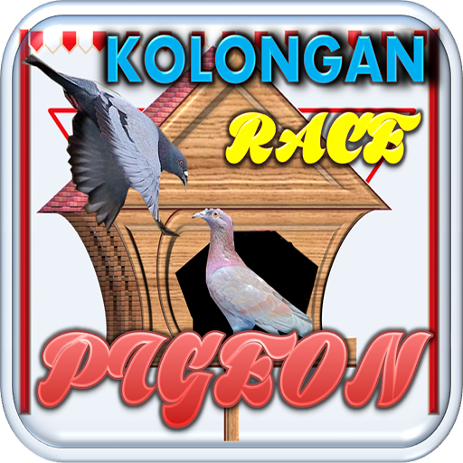 Kolongan Pigeon Race