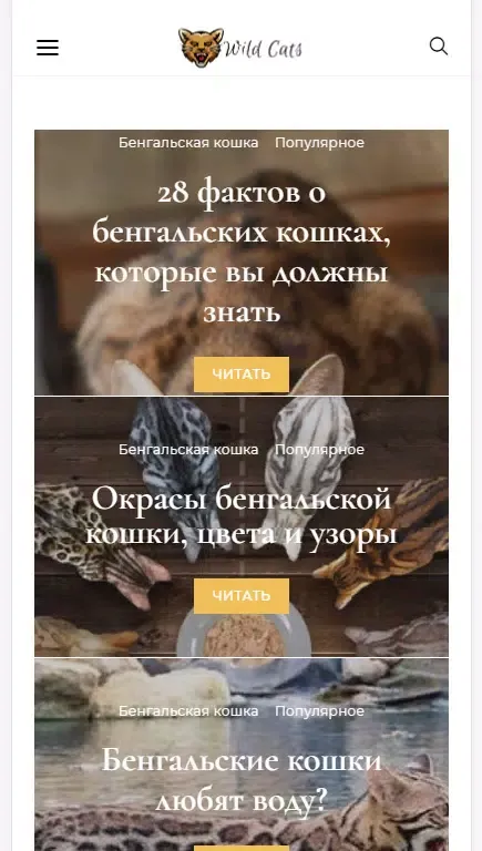 Скриншоты Бенгальские кошки