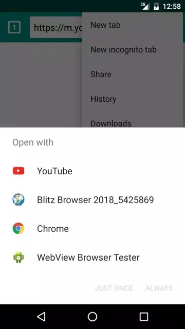 Blitz Browser 2018 Screenshots4