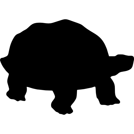 Darwin
