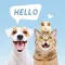 Pets Translator: Dog & Cat