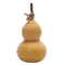 Silichong