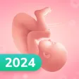 Pregnancy and Due Date Tracker