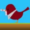 Earliest Bird