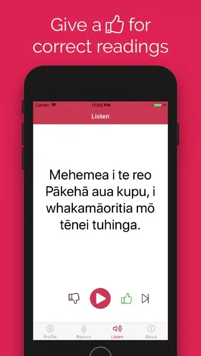 Tangkapan skrin Kōrero Māori